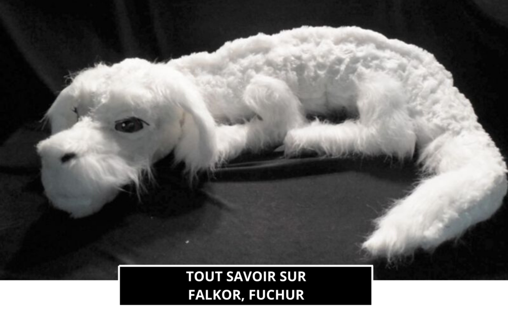 TOUT SAVOIR SUR FALKOR, FUCHUR